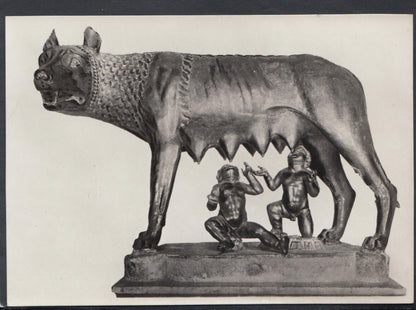 Italy Postcard - Roma - Museo Capitolino - "Lupa"  RR4866