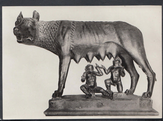 Italy Postcard - Roma - Museo Capitolino - "Lupa"  RR4866