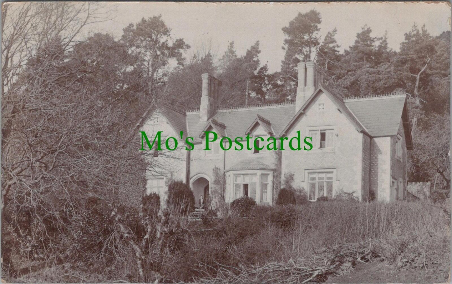 Dorset Postcard?: Detached House, Posted From Sturminster Newton SW10461
