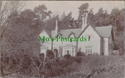 Dorset Postcard?: Detached House, Posted From Sturminster Newton SW10461