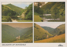 Load image into Gallery viewer, Derbyshire Postcard - Views of The Delights of Dovedale  RR9998
