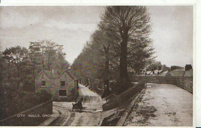 Chichester City Walls West Sussex Vintage Photo Brown Printed Postcard 2422A
