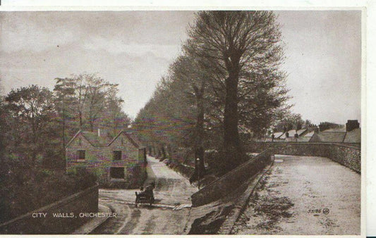 Chichester City Walls West Sussex Vintage Photo Brown Printed Postcard 2422A