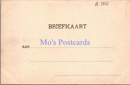 Netherlands Postcard - Zaad-Dorschen in Walcheren, Zeeland  DC2053