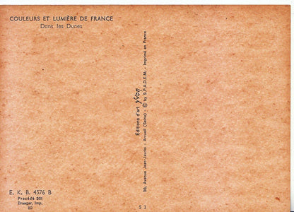 France Postcard - Couleurs Et Lumiere De France, Dans Les Dunes    SM111
