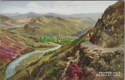 Wales Postcard - Dolgelley, Precipice Walk. Artist Brian Gerald  DC1530