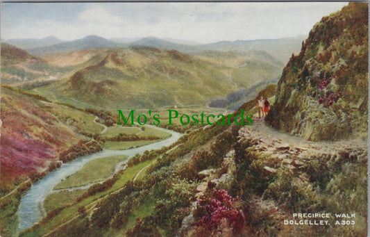 Wales Postcard - Dolgelley, Precipice Walk. Artist Brian Gerald  DC1530