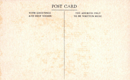 Shipping Postcard - Paddle Steamer Totnes Castle, Passenger Ferry  XT86