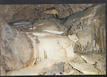 Somerset Postcard - The Frozen River, Gough's Cave, Cheddar   WC377