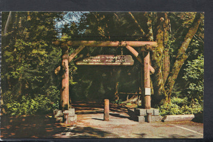America Postcard - Muir Woods National Monument, Mill Valley, California RS20247