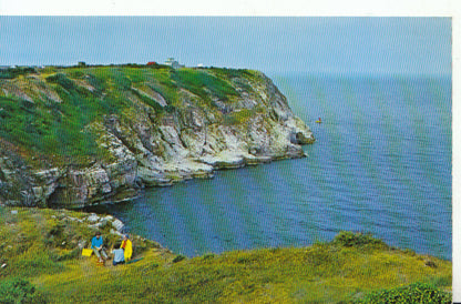 Devon Postcard: Berry Head Brixham, Coastal Cliffs Torbay View 1970s 9514A