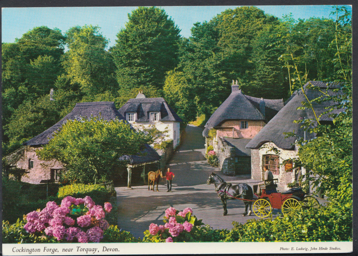 Devon Postcard - Cockington Forge, Near Torquay  RR2882