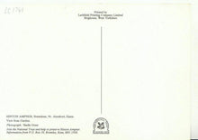 Load image into Gallery viewer, Hampshire Postcard - Hinton Ampner - Bramdean, Near Alresford  20901A
