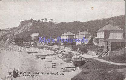 Isle of Wight Postcard - Ventnor, Steep Hill Cove From East   DC2098