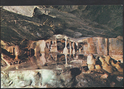 Somerset Postcard - The Transformation Scene, Cox's Cave, Cheddar   WC378