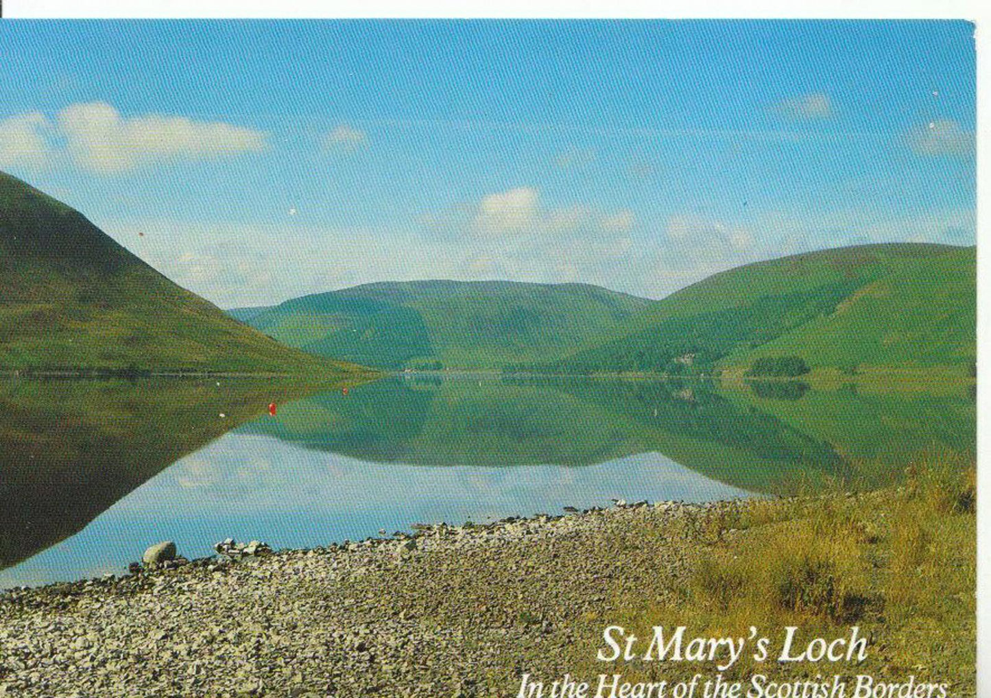 Scotland Postcard - St Mary's Loch, Heart of The Scottish Borders   ZZ5583