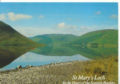 Scotland Postcard - St Mary's Loch, Heart of The Scottish Borders   ZZ5583