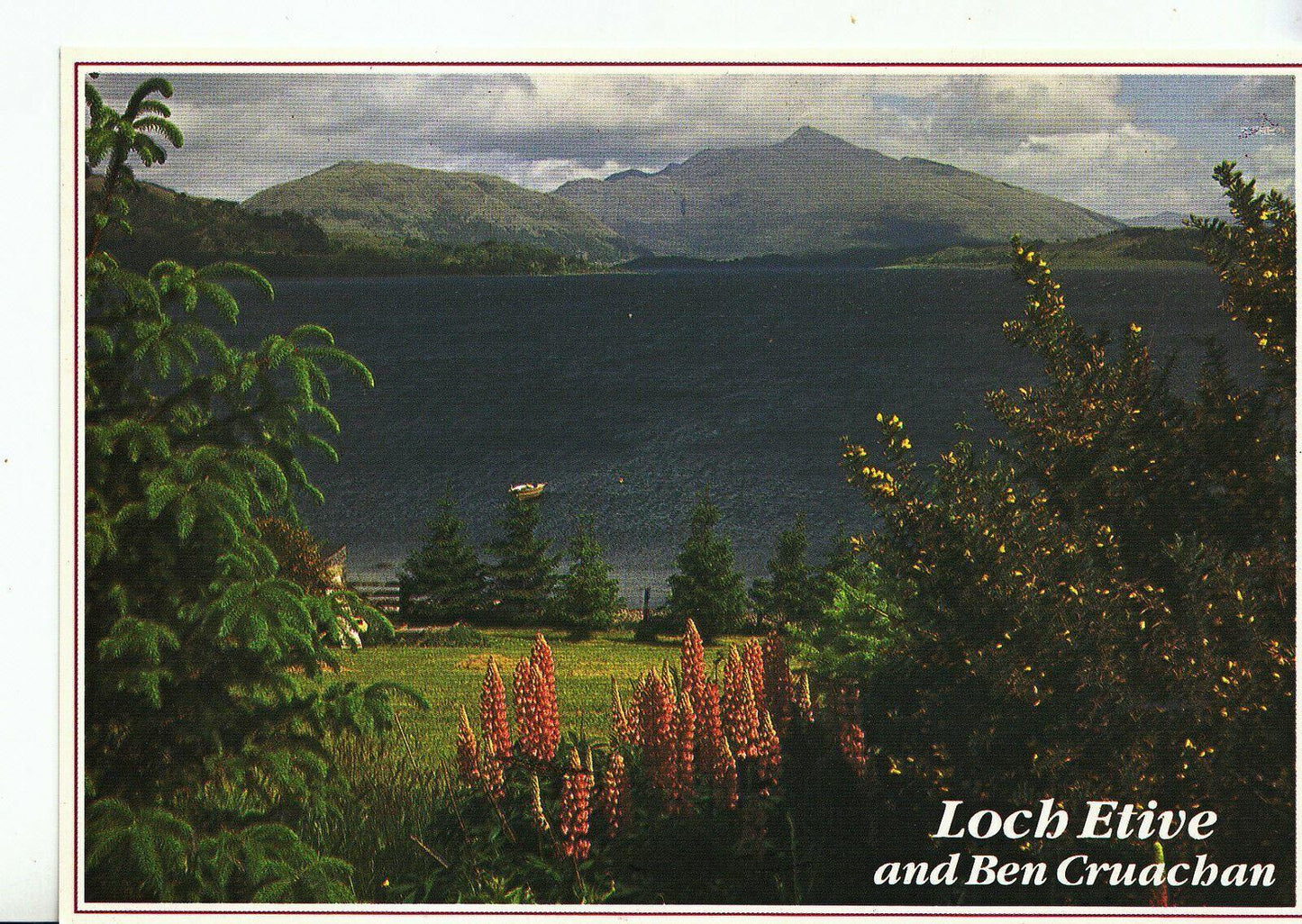 Argyll Postcard: Loch Etive and Ben Cruachan Scottish View RR23753