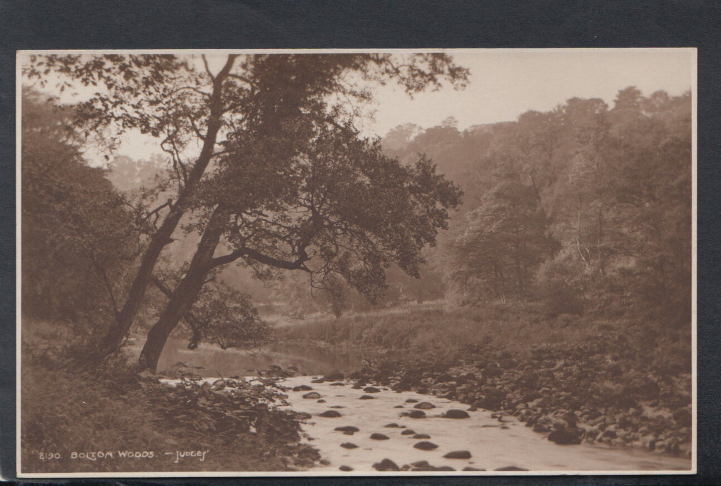 Yorkshire Postcard - Bolton Woods    RS17946