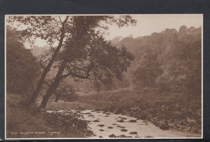 Yorkshire Postcard - Bolton Woods    RS17946