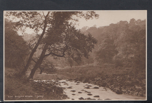 Yorkshire Postcard - Bolton Woods    RS17946