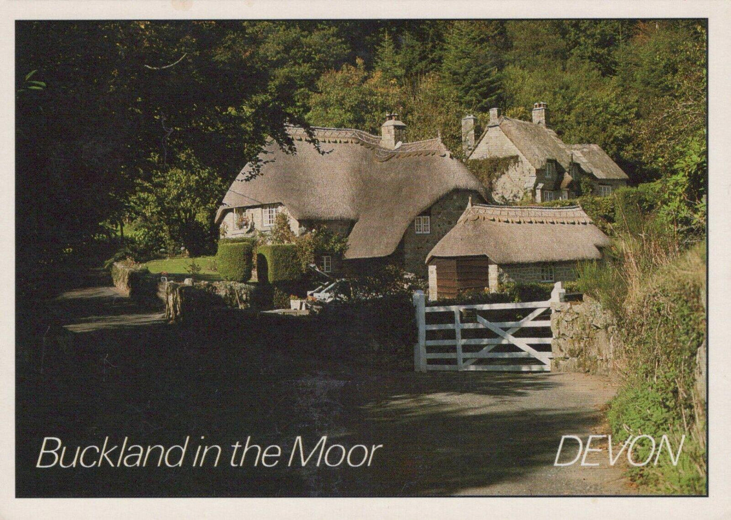 Devon Postcard - Buckland In The Moor, Dartmoor  RRR89