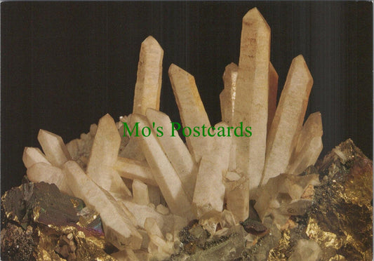 Geological Museum Postcard - Prismatic Crystals of White Quartz  RR19160