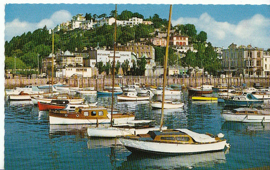 Devon Postcard - Torquay Harbour   AB22