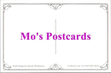 Load image into Gallery viewer, Cumbria Postcard - Windermere, Newby Bridge and Lakeside  RR21088
