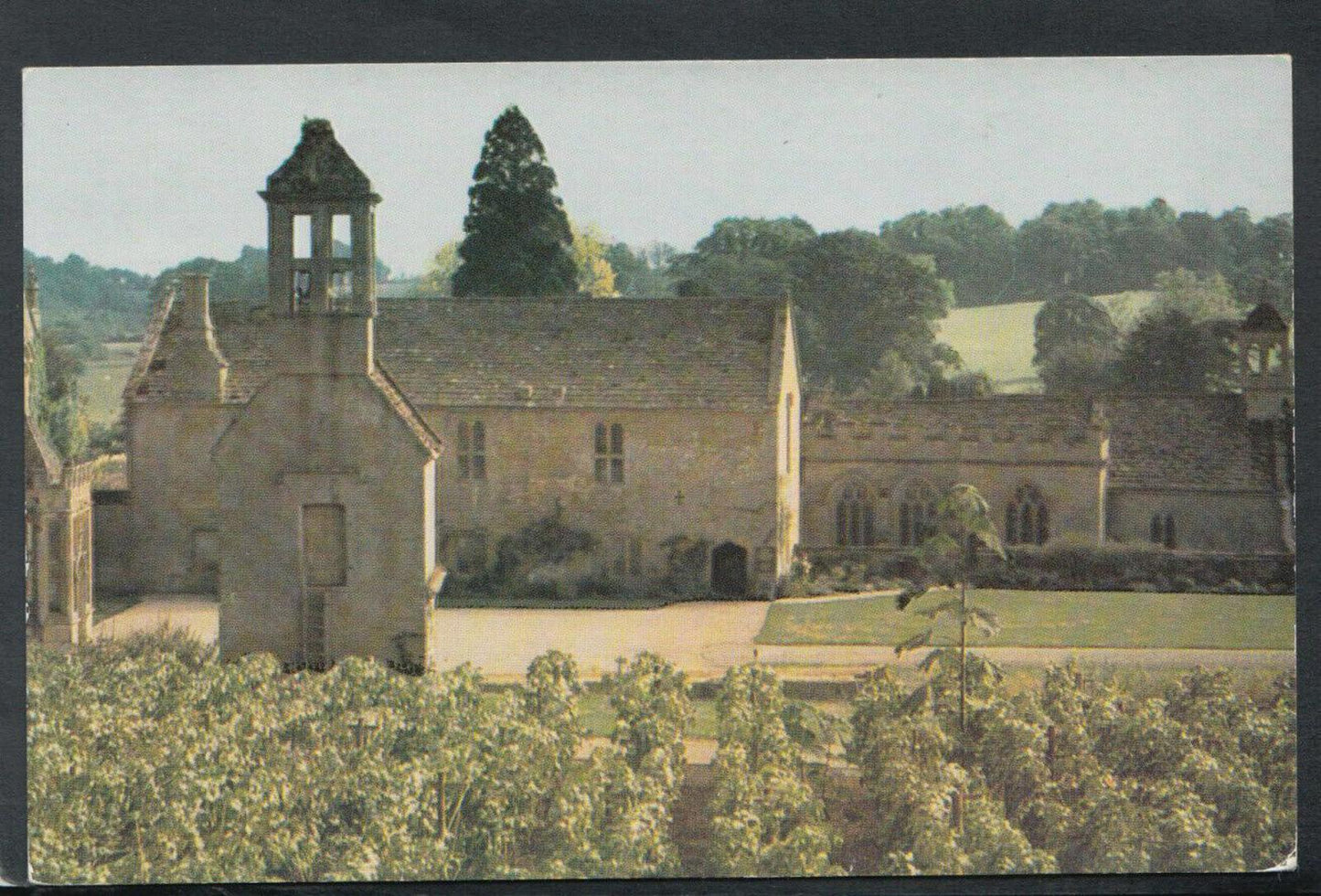 Somerset Postcard : The Vineyard, Brympton d'Evercy T5945