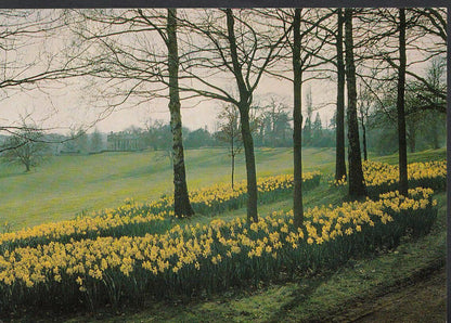 Wiltshire Postcard - The Pleasure Grounds, Bowood, Calne  WC4