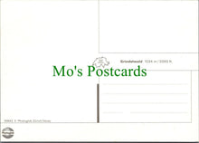 Load image into Gallery viewer, Switzerland Postcard - Aerial View of Grindelwald, Berner Oberland   RRR1119
