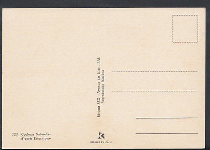 France Postcard - Pau - Couleurs Naturelles d'Apres Ektachrome  RR2338