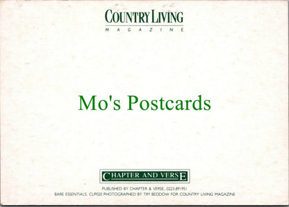 Country Living Postcard - Interior Design, Home Interiors   RR11099