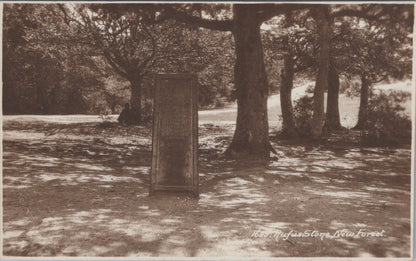 Hampshire Postcard: Rufus Stone Monument Lyndhurst New Forest 1930s RPPC RS36253