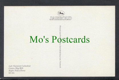 Norfolk Postcard - Norwich a Fine City  SW4588
