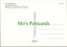 Load image into Gallery viewer, France Postcard - Aerial View of Aigues-Mortes, Gard  RRR1105
