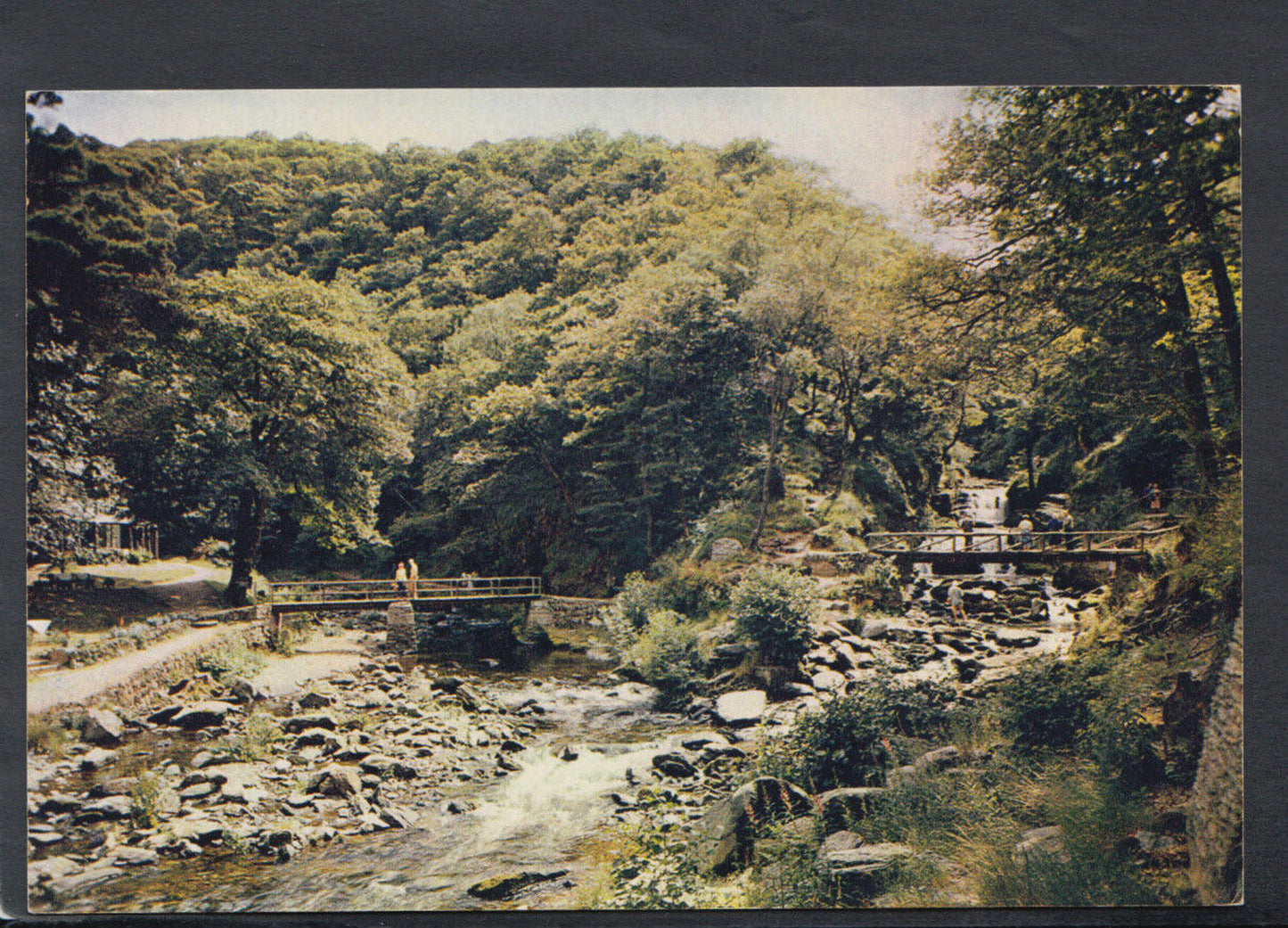 Devon Postcard - Watersmeet, Lynmouth RR4817