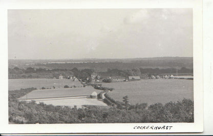 Kent Postcard: Cockerhurst Shoreham, Landscape Fields Panoramic View 9813A