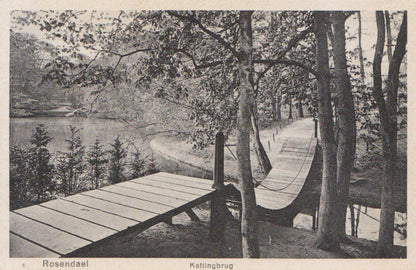 Netherlands Postcard: Kasteel Rosendael in Rozendaal, near Arnhem  3273A