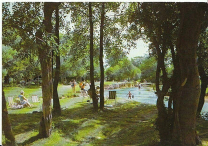 Hampshire Postcard - Brockenhurst   AB336