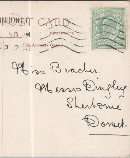 Bracher: Messrs Dingley, Sherborne, Dorset 1910 - HX47
