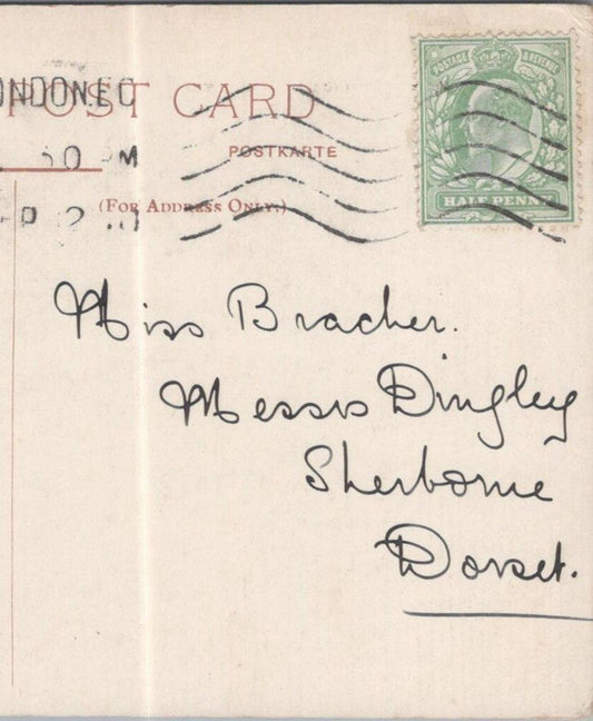Bracher: Messrs Dingley, Sherborne, Dorset 1910 - HX47