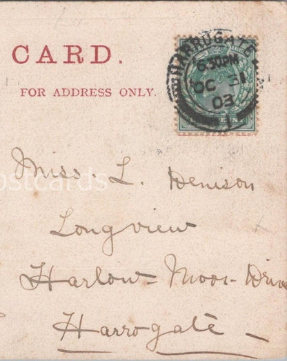 Denison: Longview, Harlow Moor Drive, Harrogate, North Yorkshire - 1903 - HX29
