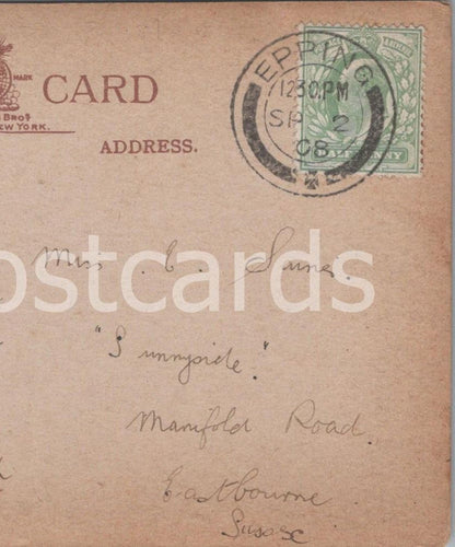 Genealogy Postcard - Sarne, Sunnyside, Manifold Road, Eastbourne, Sussex GL4647