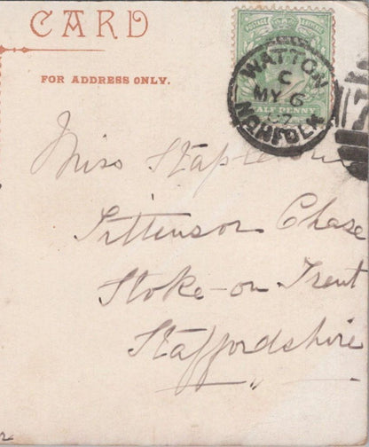 Stapleton: Tittensor Chase, Stoke-on-Trent, Staffordshire, 1907 - HX74