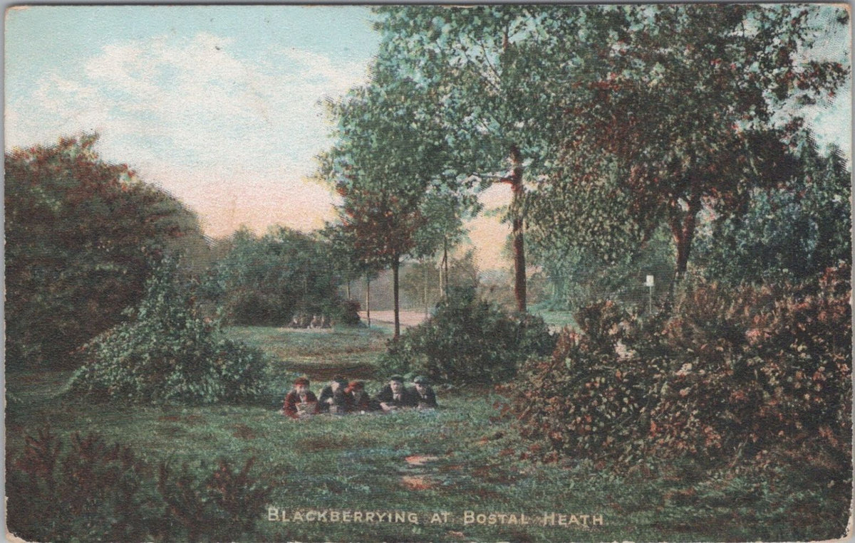 London Postcard: Bostal Heath Blackberrying Children Brambles 1905 XT5056