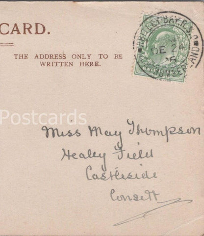 Thompson: Healey Field, Castleside, Consett, County Durham, 1905 - HX18