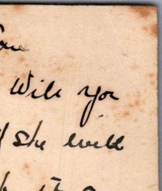 Carnation Flowers Glitter Loving Thoughts Edwardian Postcard Correspondence XT3492