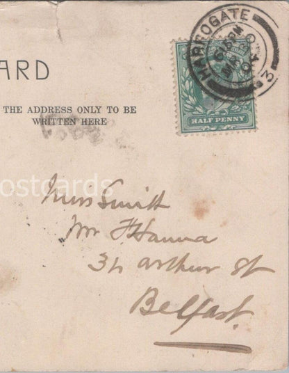 Smith: Mr Hanna, 31 Arthur Street, Belfast, County Antrim - 1904 - HX32